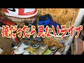 【YouTube Live】俺だったら見ないライブ