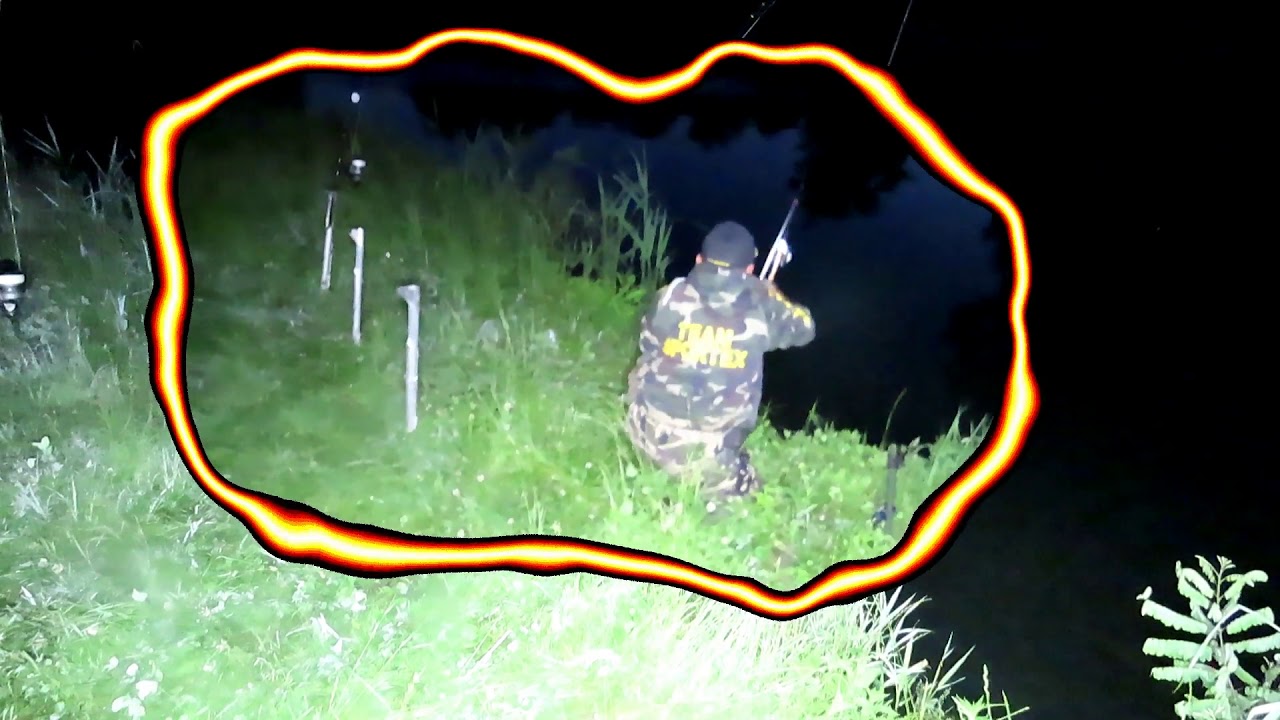 BREAKLINE SPORTEX CATFIRE