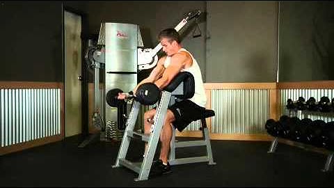 Biceps   Preacher Curl   Exercises Guide!   Live Health Club