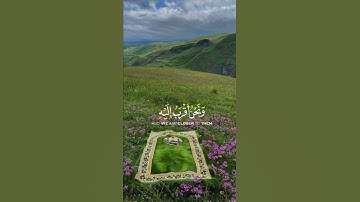 سورة ق {الآية 16} بصوت الشيخ ياسر الدوسري ❤️💖