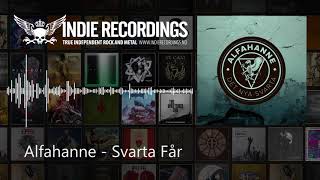 Alfahanne - Svarta får