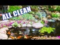 Residential POND Cleanout: The Step-by-Step Process!