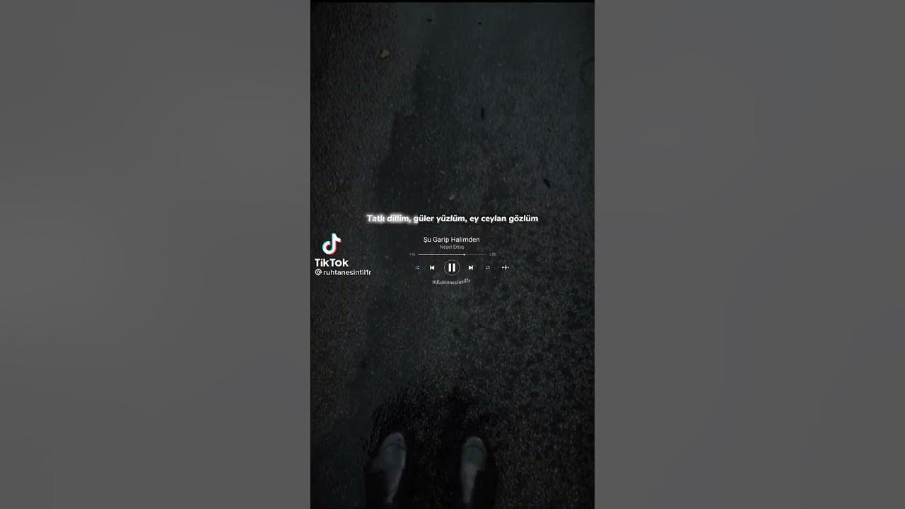 Şu garip halimden Neşet Ertaş