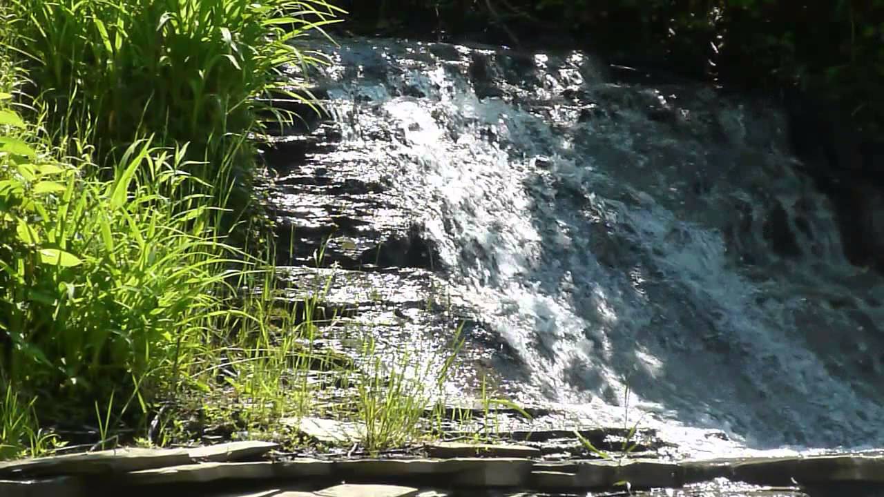 Watch "Got This Feeling" by IntrepidErie on YouTube Watch "Got This Feeling" by IntrepidErie on YouTube