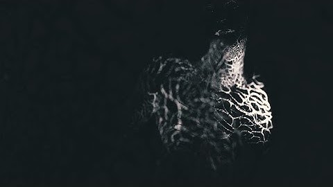 Ulcerate - To Flow Through Ashen Hearts (Official video)