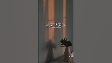 راحة نفسية # قرآن كريم # أجر لي ولك🤗✨💖