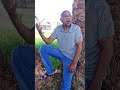 يا صعيدي يا جبل عالي 