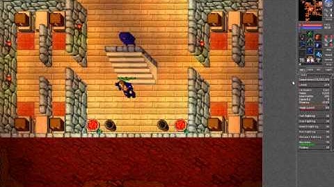 Tibia Photos / Video