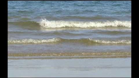 Kim Tước - Lệ Biển | Thơ Ngô Đình Vận, Nhạc Lại Minh Thuận