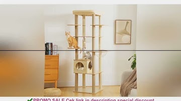 Multi-Level Cat Tree for Indoor Wood Cat Tower with Scratching Posts Spacious Condo Hammock Top Perc