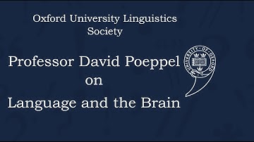 David Poeppel on Language and the Brain - Oxford University Linguistics Society