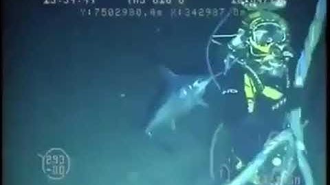 Diver gets attacked by a swordfish at 220m (721 feet) below surface