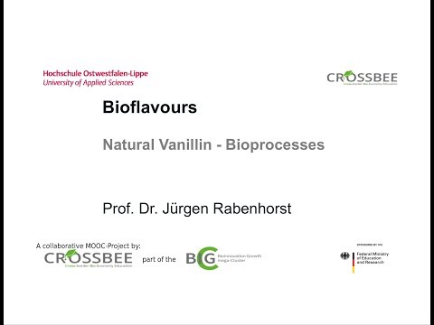 BioBased1x_2018_Module_6_6-2_Natural_Vanillin_Bioprocesses-video