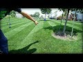 Lawn Striping Around Trees and Obstacles + Project Lawn Finale!