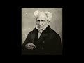 "Sobre la cuádruple raíz del principio de razón suficiente" I parte. Arthur Schopenhauer.