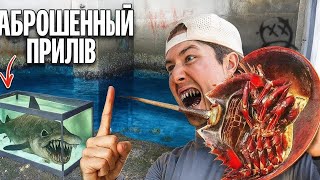 видео: Ловля жутких морских существ, живущих в заброшенном приливном бассейне! (Что внутри?) картинка: Ловля жутких морских существ, живущих в заброшенном приливном бассейне! (Что внутри?)