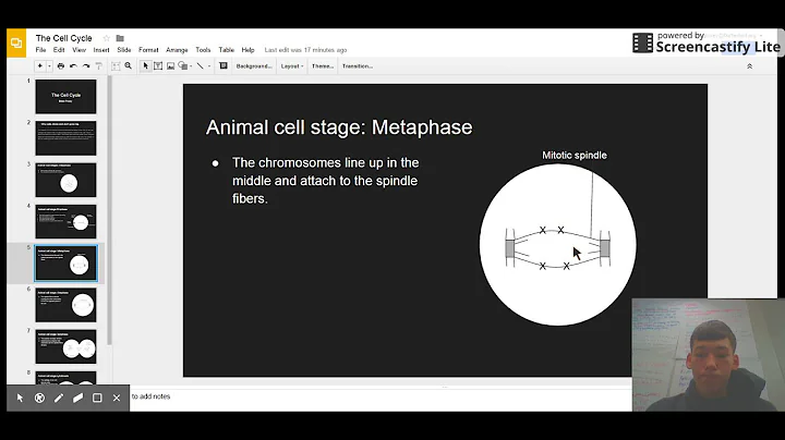 Blake Posey Cell Cycle