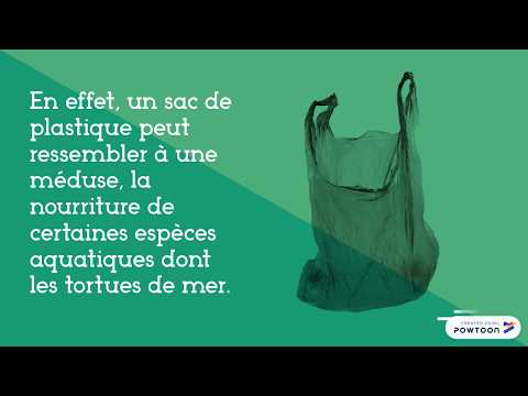 l'Écho-logique:-les-sacs-de-plastique,-un-danger-à-éliminer!