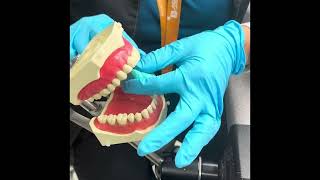 Provisional Putty
