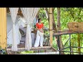 Green Heart Cafe Tree House Homestay in Phuket Thailand