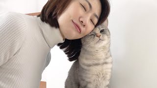 I Cut My Hair Short and My Cats Went Crazy! (ENG SUB)