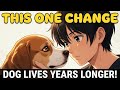 Your Dog Could Live Years Longer With This One Change