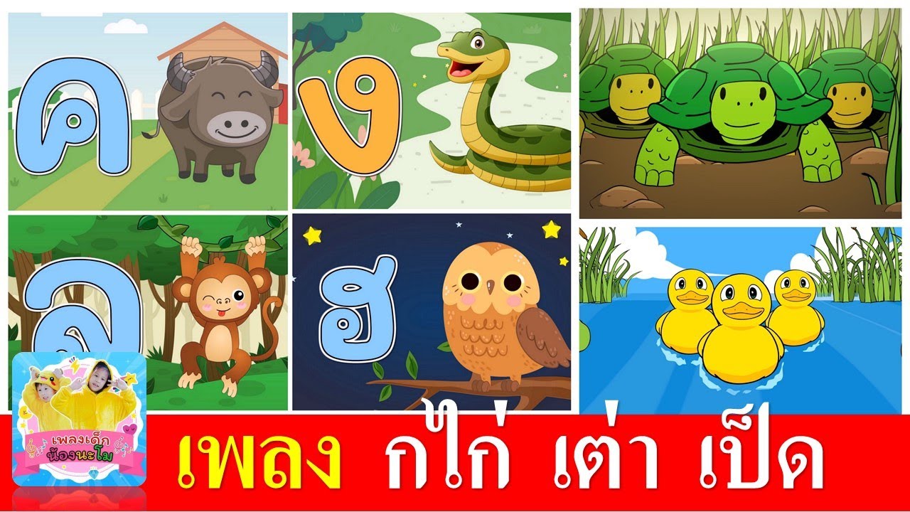 เพลงเด็กในตำนาน กไก่ เต่า เป็ด | ก เอ๋ย กไก่ ดั้งเดิม | เต่าเอ๋ยเต่า | เป็ดอาบน้ำในคลอง