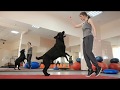 Become a Dog Trainer! (CATCH Academy in 20 Seconds) Become a Dog Trainer! (CATCH Academy in 20 Seconds)