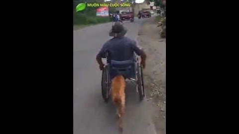BẠN NGHĨ THẾ NÀO KHI XEM XONG VIDEO NÀY!!!