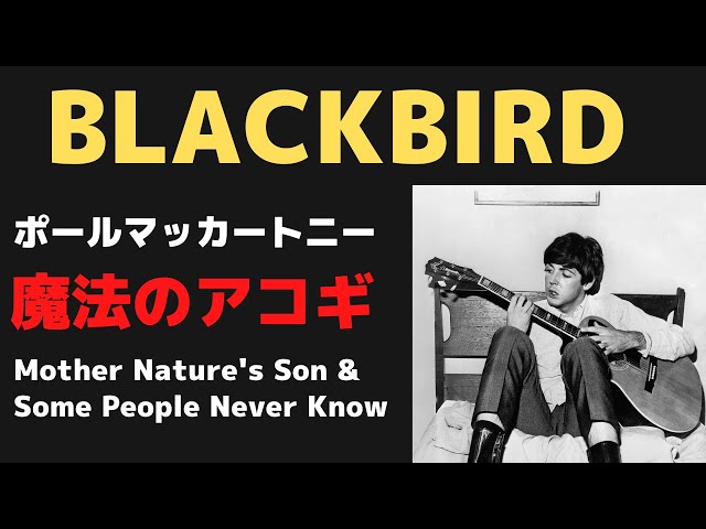 ポールマッカートニー「ブラックバード、マザーネイチャーズサン、サム
