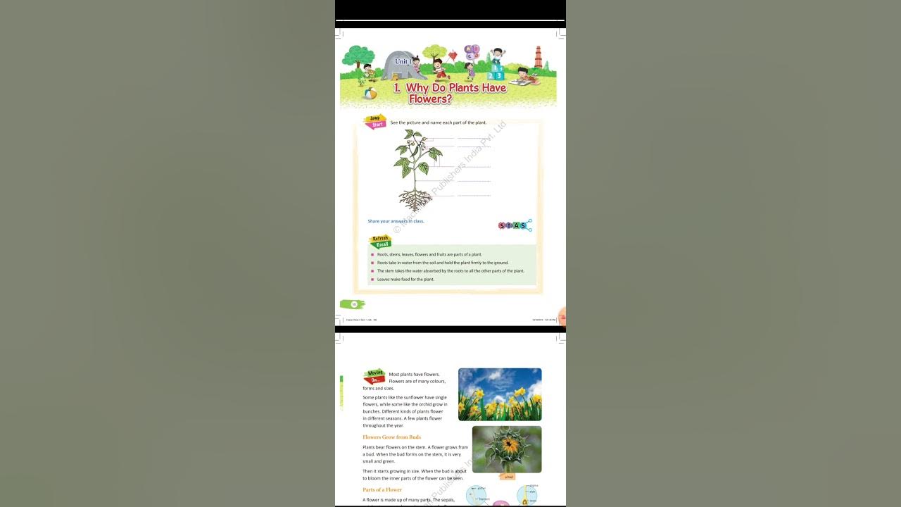 Science Why do plants have flowers? YouTube