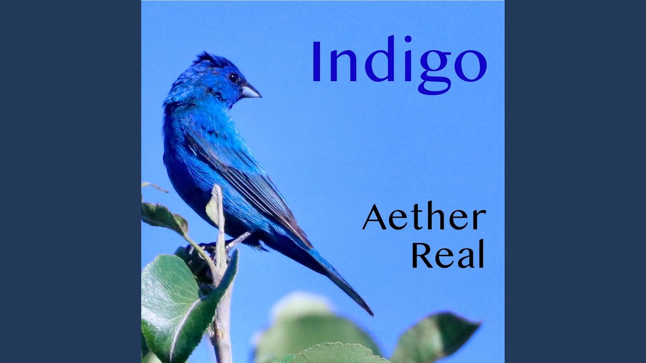 Indigo auf YouTube ansehen Indigo auf YouTube ansehen