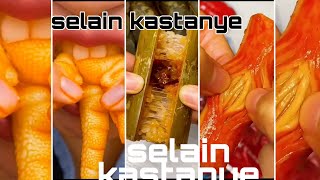 selai kastanye part 1|tik tok Indonesia Bahasa Indonesia