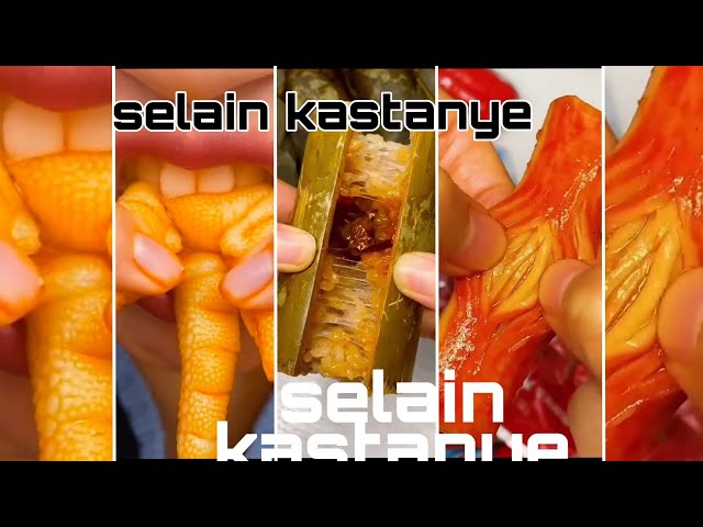 selai kastanye part 1|tik tok Indonesia Bahasa Indonesia class=