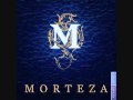 Morteza Sepasgozaar Morteza Sepasgozaar
