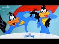 Looney Tunes | A Job For Stupor Duck | Classic Cartoon | WB Kids