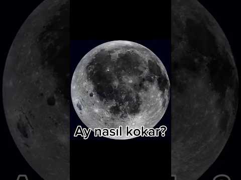 Ay’ın kokusu nasıl?