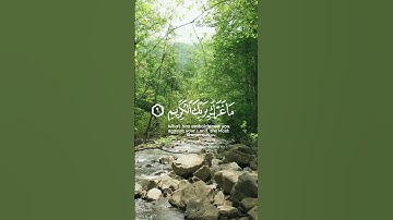 استمع لحظات تنفعك يوم القيامة❤️ وتجهز لرمضان❤️ 🌙 | القرآن الكريم ( شُفَيَعٍگ يَۆم آلُقيَآمة )