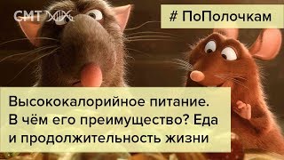 Преимущество диеты без ограничения калорийности Преимущество диеты без ограничения калорийности