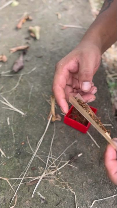 Download lagu HOW TO ROLL A JOINT #viral #shorts