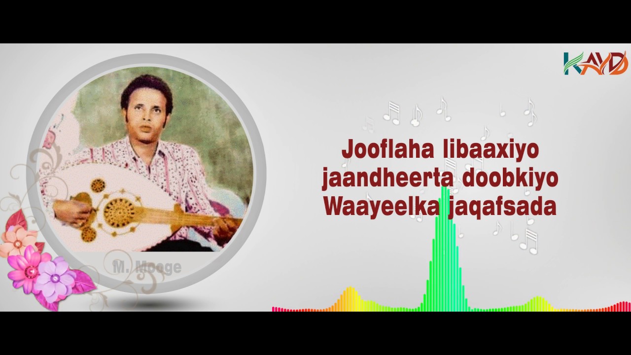 LYRICS | Heestii waayeelka jaqafsada | Maxammed Mooge Liibaan