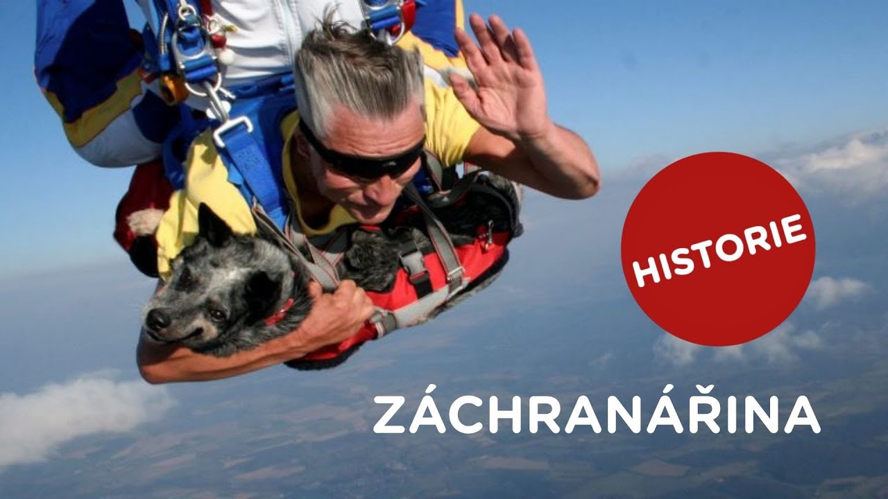 🐶 Historie záchranářiny je tady! Psi nás zachraňují už spoustu let.