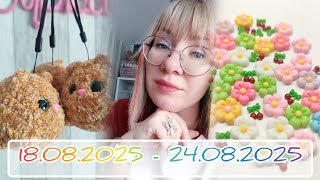 картинка: Вязальный дневник 18.08.2025-24.08.2025: антирекорд по вязанию и 