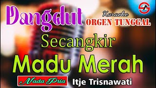 Secangkir Madu Merah - Itje Trisnawati || Karaoke [Nada Pria] Dangdut Orgen Tunggal