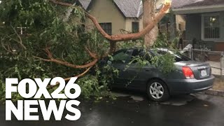 Central California homeowner loses appeal against city over branch-related car damages