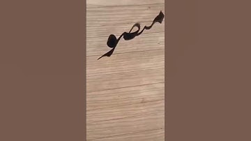 #How to write meem(Nastaliq)with Qalam, #Urdu Handwriting Course,#calligraphy  #calligraphytutorial