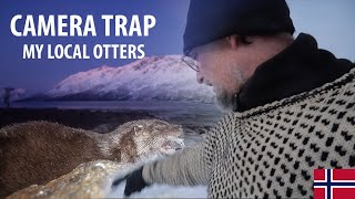 Camera Trap - Otters in Northern Norway by Alfred Lucas 553 views 5 months ago 9 minutes, 44 seconds