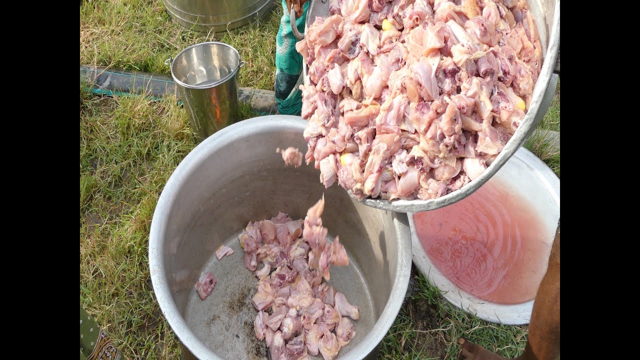 CHICKEN FRY CURRY MAKING FOR 500 NUMBERS | 100KG