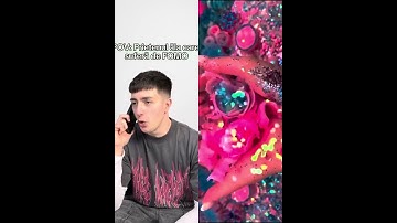 Text To Speech🍞ASMR Cake Storytime🥞@Lucian Lazanu #xybca #fypシ #pov #shorts #storytime