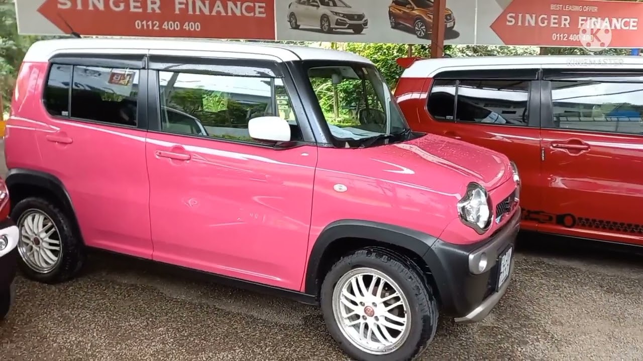 suzuki hustler collection